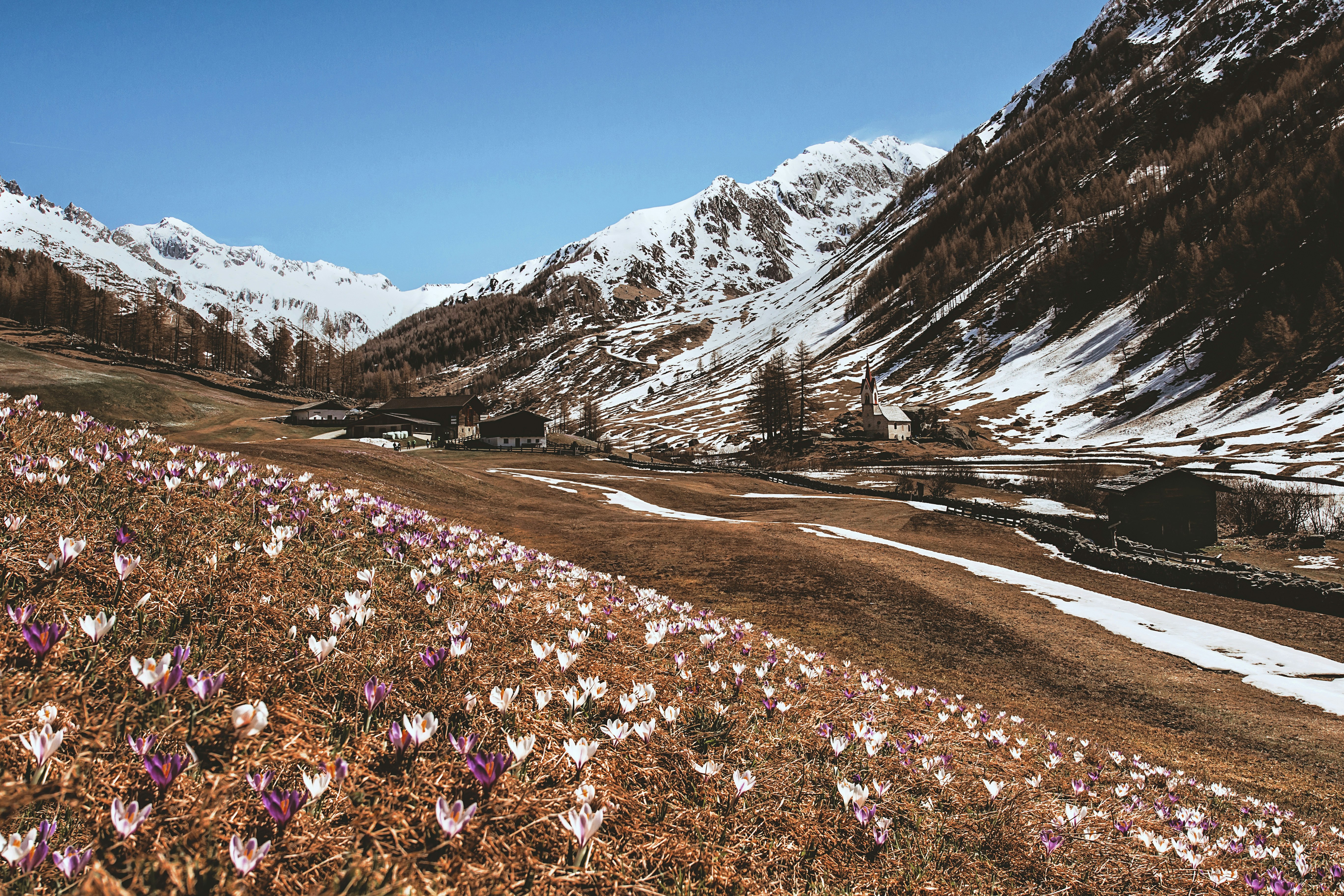 mountains near road during daytime